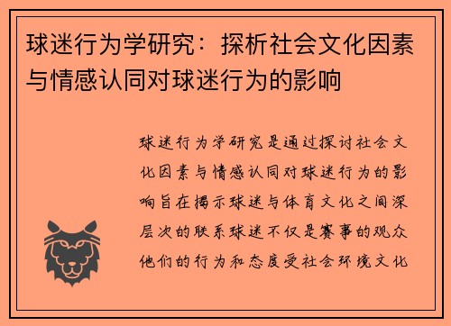 球迷行为学研究：探析社会文化因素与情感认同对球迷行为的影响